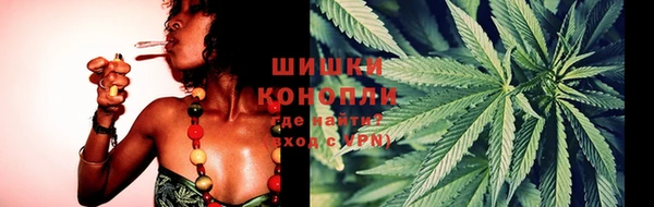 гидра Инсар