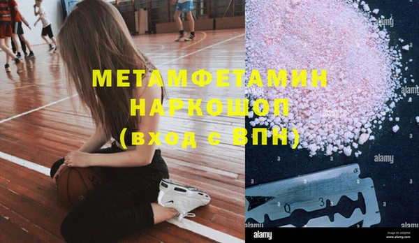 apvp Инта