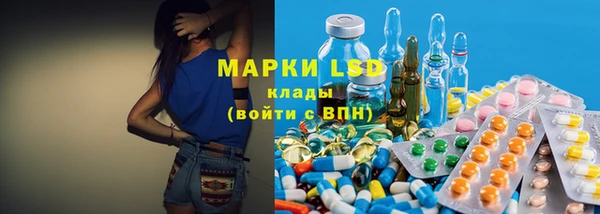 гидра Инсар