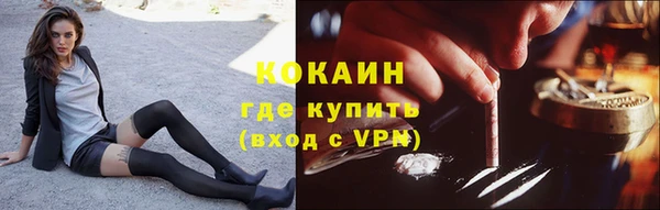apvp Инта