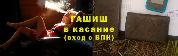 гидра Инсар