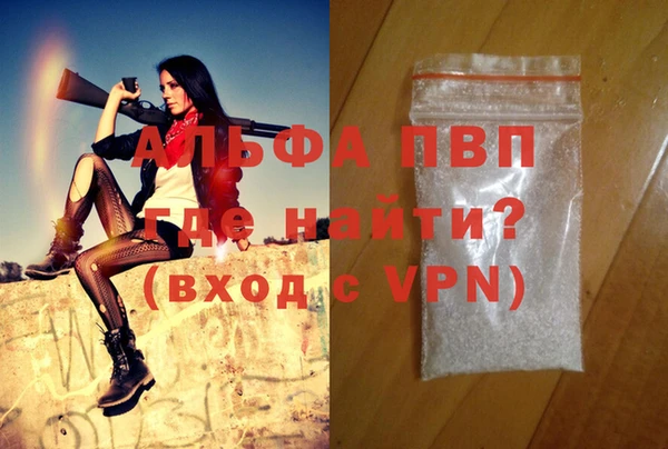 apvp Инта