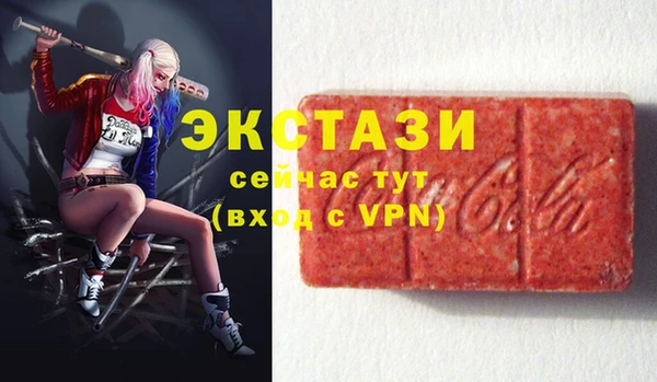 гидра Инсар