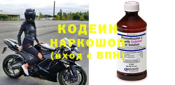 apvp Инта