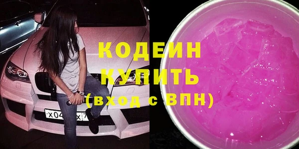 гидра Инсар