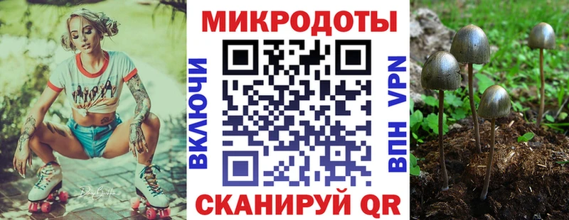 Галлюциногенные грибы Magic Shrooms  Соль-Илецк 