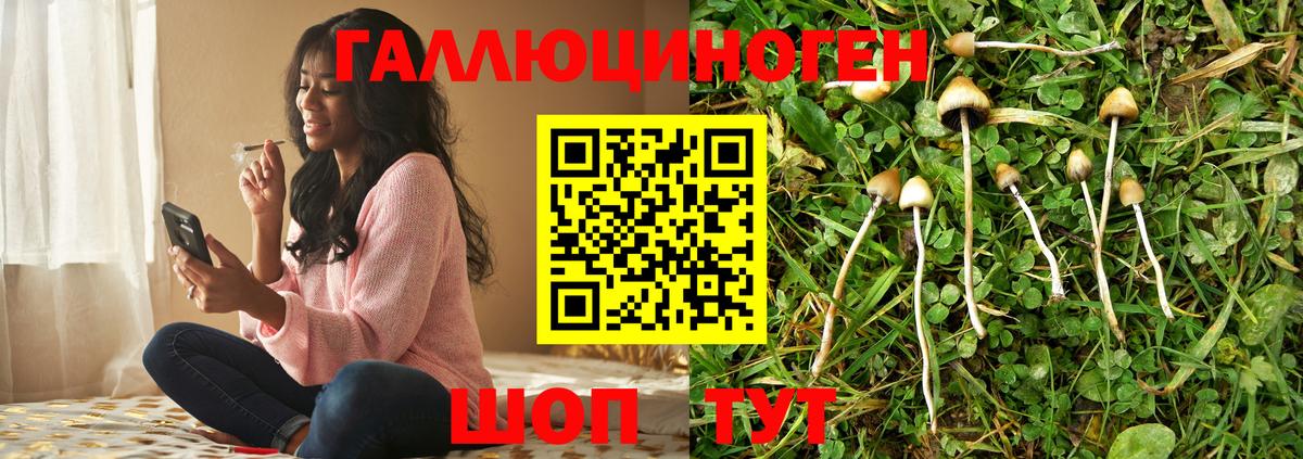Галлюциногенные грибы прущие грибы Соль-Илецк