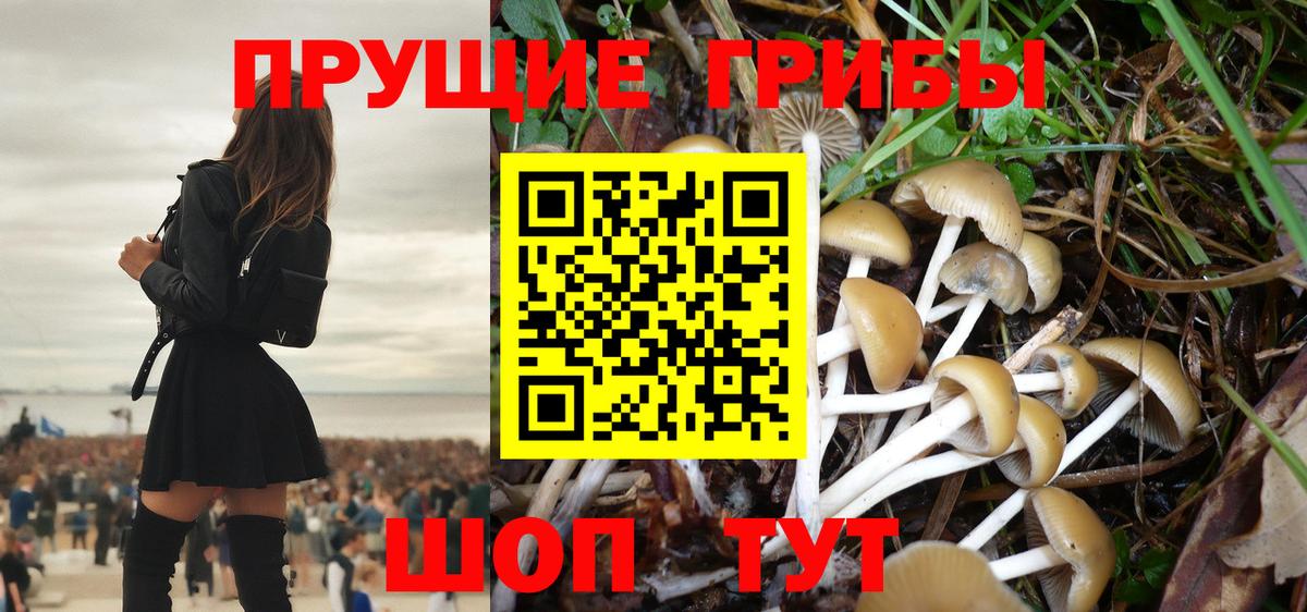 Псилоцибиновые грибы Magic Shrooms  Галлюциногенные грибы Psilocybine cubensis  Соль-Илецк  Вход с VPN 